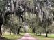 Scenic view of a long dirt road, lined with majestic trees adorned with Spanish moss creating a dramatic entryway at 7753 Blue House Ln, Edisto Island, SC 29438