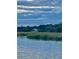 Picturesque view of a stately home nestled among lush greenery, as seen from across the tranquil water at 7753 Blue House Ln, Edisto Island, SC 29438