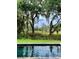 Serene pool framed by majestic oak trees with Spanish moss, offering a tranquil and picturesque backyard setting at 7753 Blue House Ln, Edisto Island, SC 29438