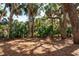 Backyard featuring trees and foliage at 806 Jungle Rd, Edisto Island, SC 29438