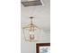 Stylish gold light fixture adds a touch of elegance to the ceiling at 806 Jungle Rd, Edisto Island, SC 29438