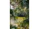 Scenic view of a tranquil pond surrounded by lush greenery through palm fronds at 806 Jungle Rd, Edisto Island, SC 29438