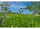 Beautiful landscape view of a lush marsh with distant trees under a sunny, blue sky at 9207 Bowen Corner Ave, Hanahan, SC 29410