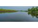 Calm water with tree-lined banks, reflecting a peaceful and scenic outdoor environment at 9207 Bowen Corner Ave, Hanahan, SC 29410
