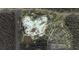 Extensive aerial view of the waterpark and resort-style amenities including pools, water slides, and lounge areas at 1010 Swamp Rose Run, Summerville, SC 29485
