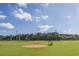 Baseball field with lights and a freshly cut outfield under a bright, partly cloudy sky with trees surrounding at 1204 Basildon Rd, Mount Pleasant, SC 29466