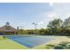 Well-maintained tennis courts with lights, adjacent to a building, surrounded by lush trees, and under a sunny sky at 1204 Basildon Rd, Mount Pleasant, SC 29466