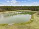 Aerial shot of a tranquil pond surrounded by lush greenery and mature trees at 127 Oyster Tide Ave, Summerville, SC 29485