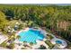 Aerial view of the large community swimming pool with lap lanes, a area, and surrounding greenery at 1425 Lagoon Park Cir, Mount Pleasant, SC 29466