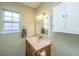 Well-lit bathroom featuring a vanity with wood cabinets, a white sink, a window and an mirrored medicine cabinet at 1466 Arrow Wind Ter, Charleston, SC 29414