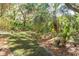 Secluded backyard with lush greenery, a well-maintained lawn, and a charming patio area at 176 Marsh Hawk Ln, Kiawah Island, SC 29455