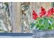 Close up of red flowers in silver vase on the front porch with tree background at 1992 Pierce St, Charleston, SC 29492