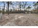 Expansive backyard featuring mature trees with an outbuilding in the background at 223 Fox Field Rd, Walterboro, SC 29488