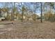 Spacious backyard with multiple structures and plenty of space for outdoor activities at 223 Fox Field Rd, Walterboro, SC 29488