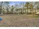 Large backyard with mature trees and plenty of open space at 223 Fox Field Rd, Walterboro, SC 29488