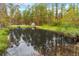 A serene pond reflecting the surrounding forest, offering a peaceful retreat at 2285 Cooper Store Rd, Moncks Corner, SC 29461