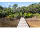 Picturesque boardwalk trail through marshland leading toward lush green trees at 2725 Starfish Dr, Johns Island, SC 29455