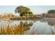 Scenic view of a tranquil lake with distant homes and a tree-covered island at 3902 Summerton St, Mount Pleasant, SC 29466