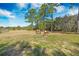 Pastoral scene featuring horses grazing in a wide-open, grassy pasture, bordered by mature trees at 4801 Coon Club Rd, Meggett, SC 29449