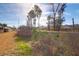 Backyard of home featuring native grasses and trees at 507 Stinson Dr # 5E, Charleston, SC 29407