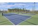 Well-maintained pickleball courts perfect for recreation and community engagement at 509 Rhythm St, Summerville, SC 29486