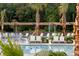 Inviting community pool area with chairs, tables, umbrellas and decorative palm trees for a relaxing day at 509 Rhythm St, Summerville, SC 29486