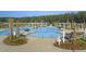 Beautiful community pool with water features, lounge chairs, and lush landscaping creating a relaxing atmosphere at 511 Verdi Dr, Summerville, SC 29486