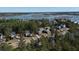 Aerial view of homes surrounded by lush greenery and waterways at 520 Sanders Farm Ln, Wando, SC 29492