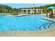 Lindera community pool with lounge seating and lush, green landscaping at 525 Verdi Dr, Summerville, SC 29486