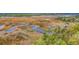 Scenic aerial view showcasing marshland with winding creeks and lush greenery in background at 5408 Overland Trl, North Charleston, SC 29420