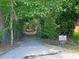 Picturesque tree-lined walkway with a path leading into a serene, lush landscape at 5408 Overland Trl, North Charleston, SC 29420