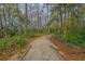 Dirt walking trail cutting through a lush green forest at 5408 Overland Trl, North Charleston, SC 29420