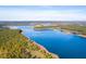 Gorgeous aerial image of winding, tree-lined, lake coastline with shimmering blue waters at 552 Richfield Way, Summerville, SC 29486