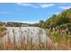 Scenic view of the lake, featuring lush vegetation and a tranquil atmosphere at 801 Balgrove Ct # 801, Mount Pleasant, SC 29466