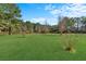 Expansive backyard with manicured lawn and natural landscape at 102 Wright Ln, Goose Creek, SC 29445