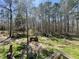 A sunny backyard scene with a red tractor, dog house, and shed surrounded by trees at 197 Melrose Pl, Moncks Corner, SC 29461