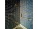 Contemporary shower with sleek blue subway tile, built-in niche and dual shower heads at 2040 Ashburton Way, Mount Pleasant, SC 29466