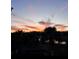 Stunning sunset view with palm trees and a hint of water in the background at 2040 Ashburton Way, Mount Pleasant, SC 29466