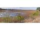 Marsh view with blue sky reflecting in the water and palm trees at 23 Lowndes Pointe Dr, Charleston, SC 29403
