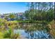 Scenic backyard with a tranquil pond surrounded by mature trees, lush greenery and the home in the background at 2690 Park W Blvd, Mount Pleasant, SC 29466
