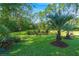 Lush backyard with a tranquil pond, mature palm trees, and a well-maintained green lawn at 2690 Park W Blvd, Mount Pleasant, SC 29466