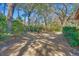 Large backyard featuring mature trees and lush greenery at 29 Wendy Lane, Charleston, SC 29407