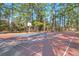 Outdoor basketball court surrounded by trees at 29 Wendy Lane, Charleston, SC 29407