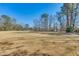 Open field with mature trees at 29 Wendy Lane, Charleston, SC 29407
