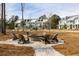 Outdoor fire pit with Adirondack chairs surrounded by pine trees at 3125 Sturbridge Rd, Mount Pleasant, SC 29466
