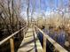 A wooden bridge winds through the trees and waterways at 3695 Cannon Rd, Round O, SC 29474