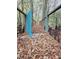 Enchanting wooden bridge with a charming blue gate surrounded by woodland vegetation, creating a magical entry through nature at 3695 Cannon Rd, Round O, SC 29474