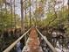 Walkway through a marshy wooded area, offering beautiful outdoor scenery at 3695 Cannon Rd, Round O, SC 29474