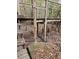 Outdoor shower near cypress trees, offering a unique and refreshing bathing experience in nature at 3695 Cannon Rd, Round O, SC 29474