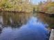 Calm river surrounded by trees, creating a serene and relaxing natural ambiance at 3695 Cannon Rd, Round O, SC 29474